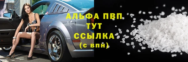 spice Карпинск