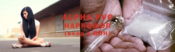 spice Карпинск