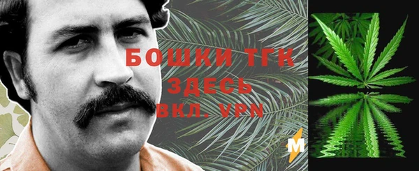 не бодяженный Каменногорск
