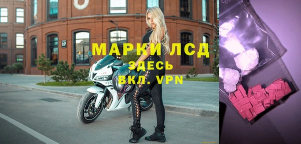 spice Карпинск